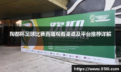 陶都杯足球比赛直播观看渠道及平台推荐详解
