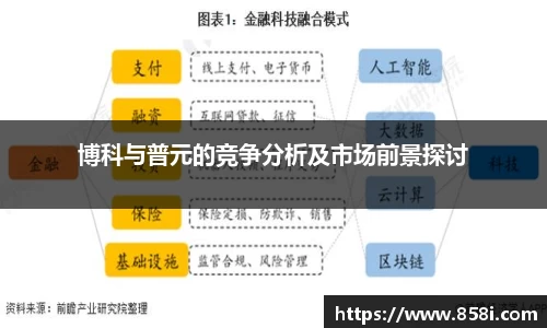 博科与普元的竞争分析及市场前景探讨
